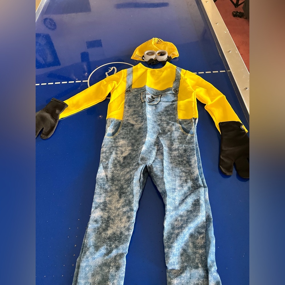 Minions costume